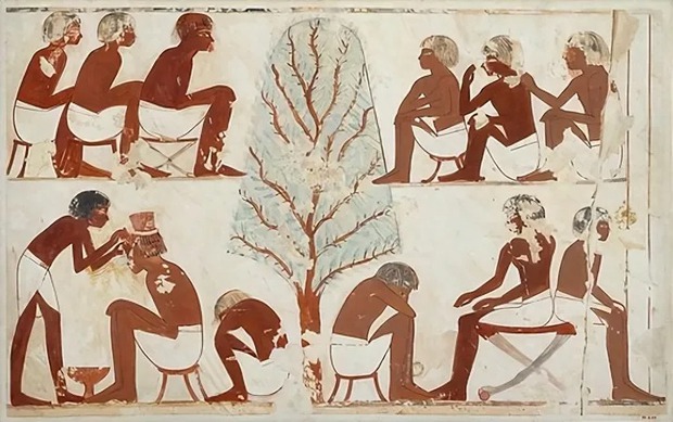 Tại sao người Ai Cập cổ đại lại cạo đầu và đội tóc giả? - ảnh 5