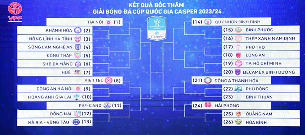 ĐKVĐ CAHN gặp Bình Định trận mở màn V-League 2023-2024 - ảnh 3