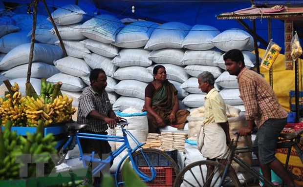 Ấn Độ quyết định hạ giá sàn đối với gạo basmati xuất khẩu - ảnh 1