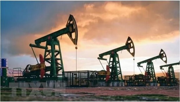 Sản lượng dầu của OPEC vẫn tăng dù Saudi Arabia cắt giảm mạnh - ảnh 1