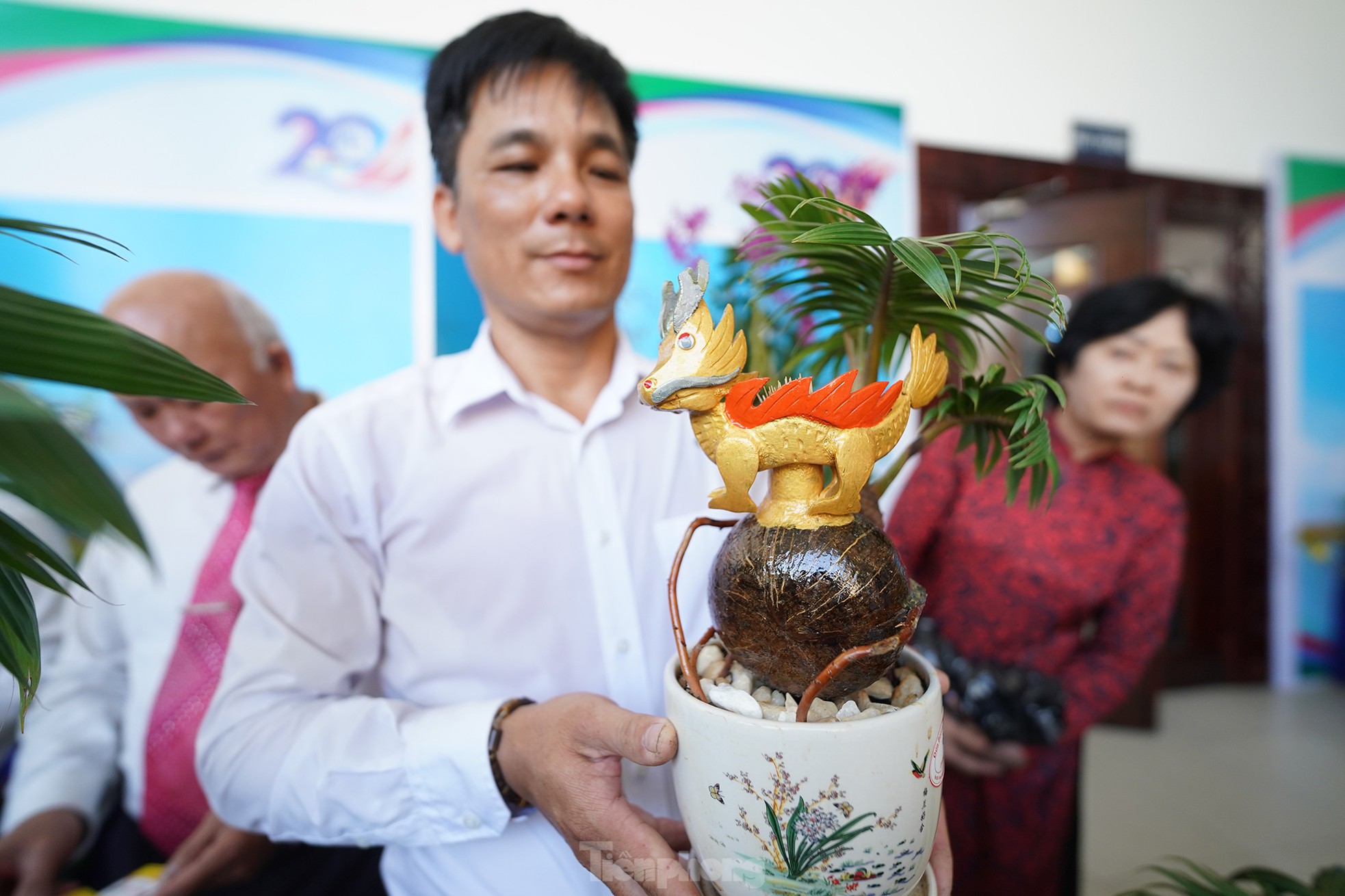 TPHCM: Độc đáo bonsai dừa ở Bình Chánh - ảnh 3