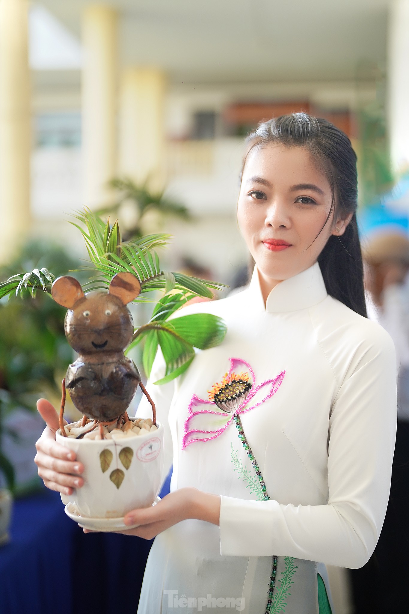 TPHCM: Độc đáo bonsai dừa ở Bình Chánh - ảnh 6