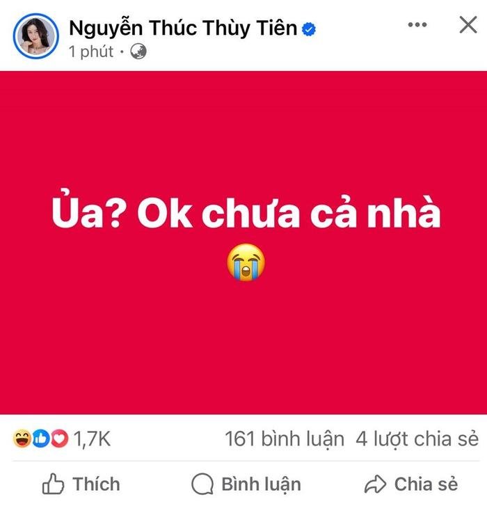 Hoa hậu Thùy Tiên than thở vì Facebook bị lỗi, Quang Linh thật sự là ''hacker'' - ảnh 1