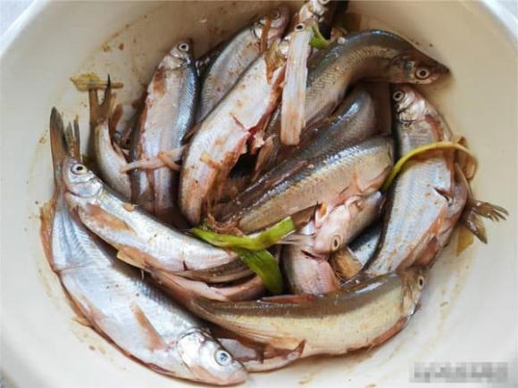 Cách làm món cá thơm ngon đúng điệu, dạy bạn một số mẹo để cá có màu vàng, giòn và không tanh - ảnh 6