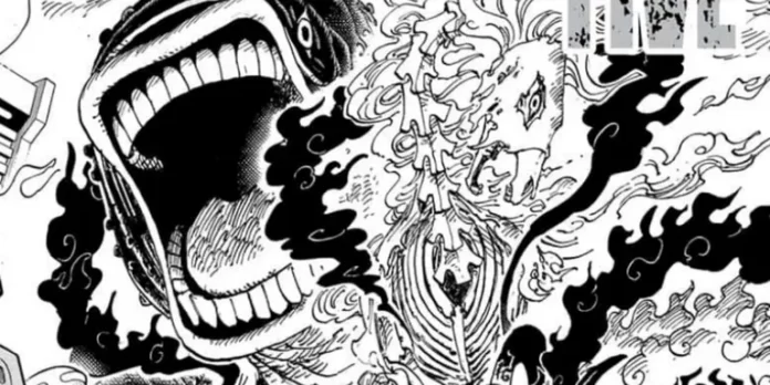 Tác giả One Piece xác nhận Ngũ Lão Tinh không sử dụng trái ác quỷ - ảnh 2
