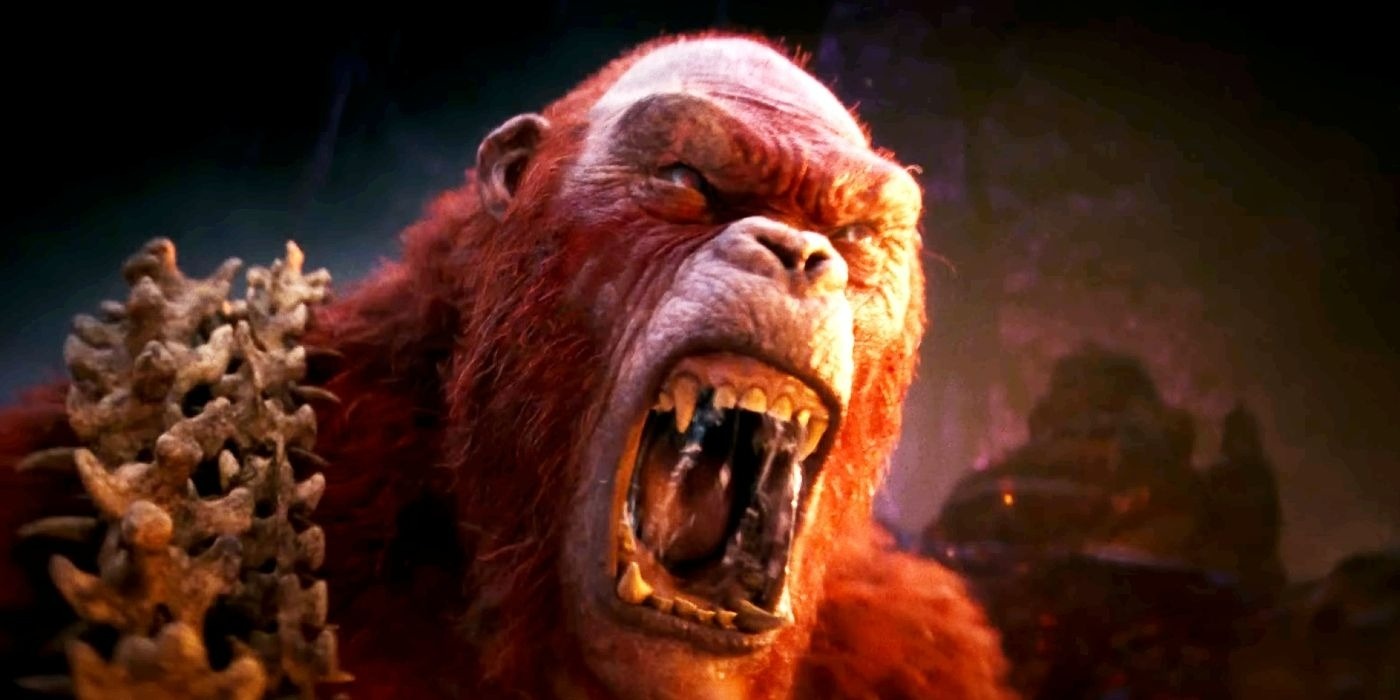 Chờ đợi gì ở cuộc tái ngộ của Kong và Godzilla? - ảnh 4