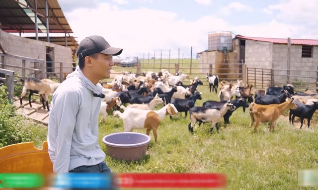 Quang Linh Vlog đau xót vì trang trại mất 70 con dê, hàng chục tỷ đầu tư có nguy cơ đổ sông đổ bể - ảnh 3