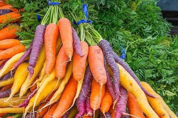 Lợi ích tuyệt vời của cà rốt với sức khỏe - ảnh 1
