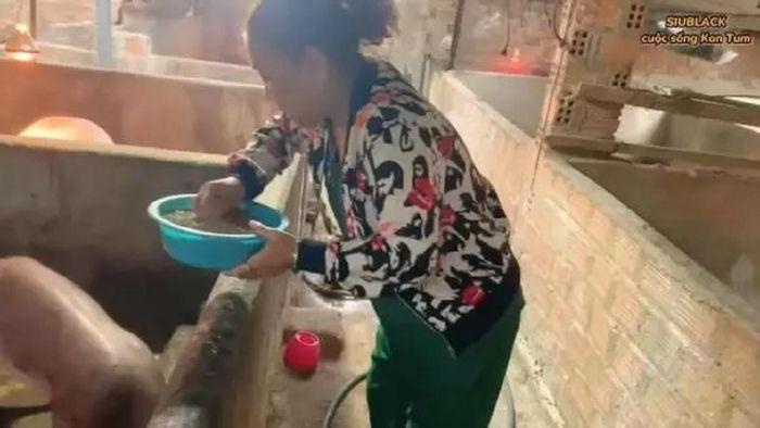 Nữ ca sĩ Việt tuyên bố vỡ nợ 40 tỷ đồng, phải về quê nuôi heo - ảnh 3