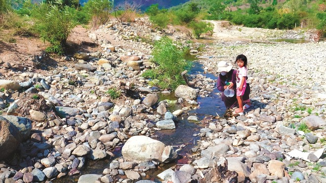 Cao điểm hạn hán tại Ninh Thuận, Bình Thuận: Hồ trơ đáy, cá chết khô - ảnh 4