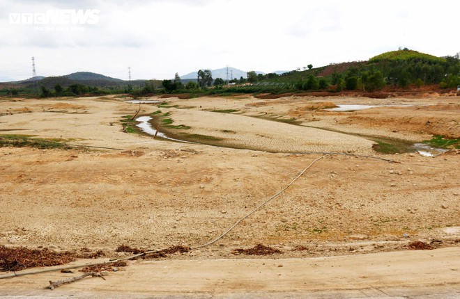 Cao điểm hạn hán tại Ninh Thuận, Bình Thuận: Hồ trơ đáy, cá chết khô - ảnh 5