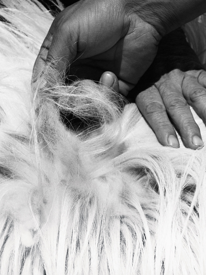 Zegna: Đẳng cấp len cashmere thượng hạng của nhà mốt “Made in Italy” - ảnh 2