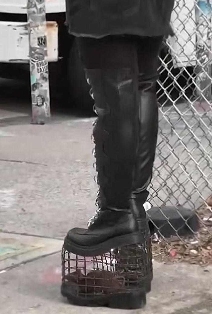 Độc lạ New York: Cô gái dẫn thú cưng đi dạo phố bằng đôi giày có ''1 – 0 – 2'' - ảnh 1