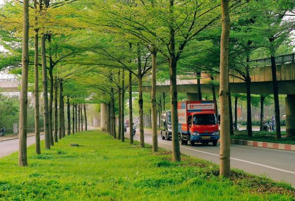 Con đường đẹp nhất Hà Nội hiện tại, hàng cây 2 bên đường xanh mướt ngỡ khung cảnh châu Âu, giới trẻ đua nhau tới check-in - ảnh 7