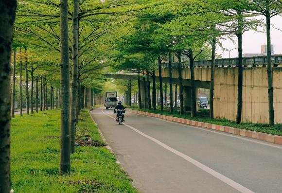 Con đường đẹp nhất Hà Nội hiện tại, hàng cây 2 bên đường xanh mướt ngỡ khung cảnh châu Âu, giới trẻ đua nhau tới check-in - ảnh 6