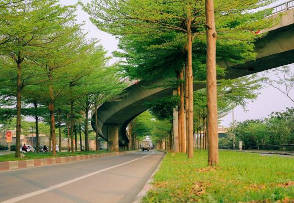 Con đường đẹp nhất Hà Nội hiện tại, hàng cây 2 bên đường xanh mướt ngỡ khung cảnh châu Âu, giới trẻ đua nhau tới check-in - ảnh 5