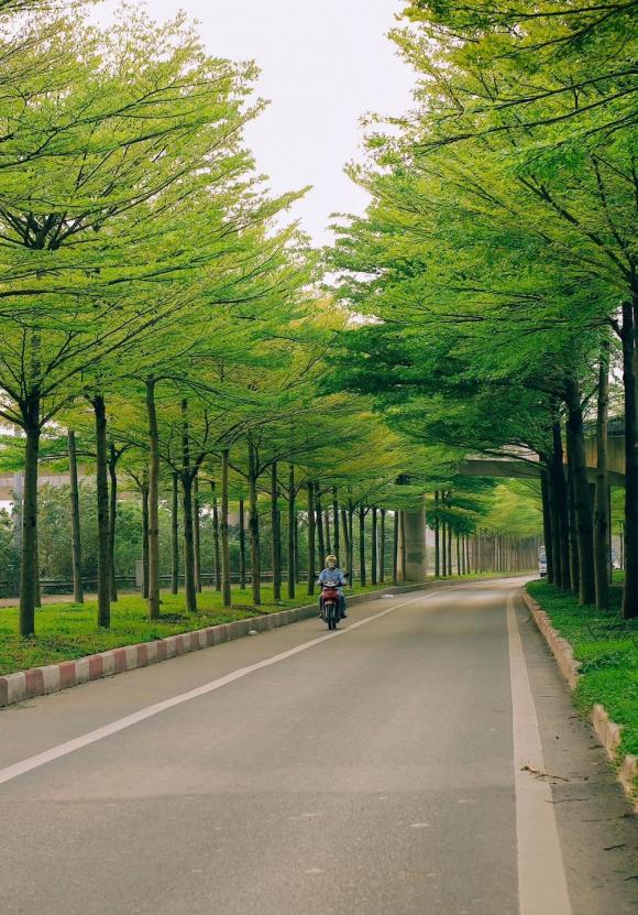 Con đường đẹp nhất Hà Nội hiện tại, hàng cây 2 bên đường xanh mướt ngỡ khung cảnh châu Âu, giới trẻ đua nhau tới check-in - ảnh 4