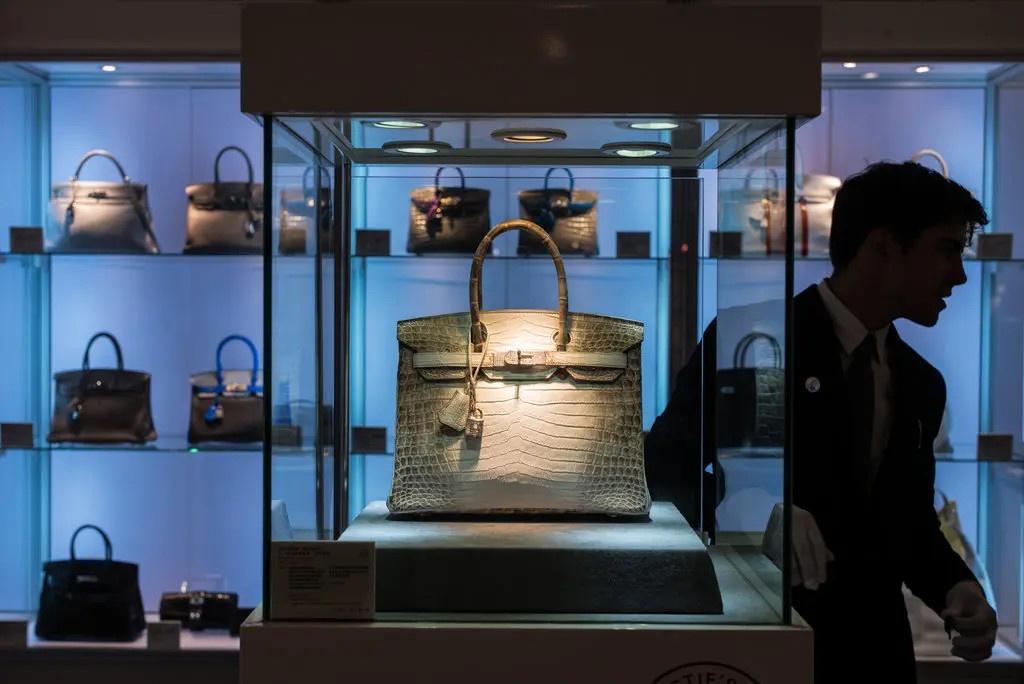Vụ kiện kỳ lạ và sự sùng bái bí ẩn với chiếc túi Hermès Birkin - ảnh 2