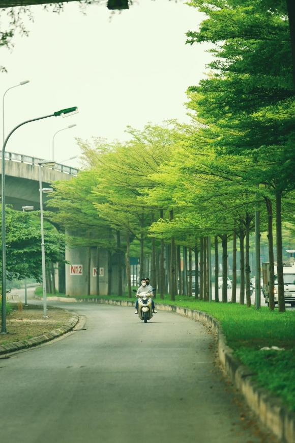 Con đường đẹp nhất Hà Nội hiện tại, hàng cây 2 bên đường xanh mướt ngỡ khung cảnh châu Âu, giới trẻ đua nhau tới check-in - ảnh 10