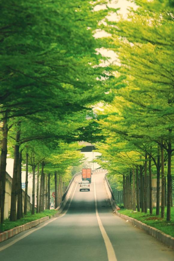 Con đường đẹp nhất Hà Nội hiện tại, hàng cây 2 bên đường xanh mướt ngỡ khung cảnh châu Âu, giới trẻ đua nhau tới check-in - ảnh 11