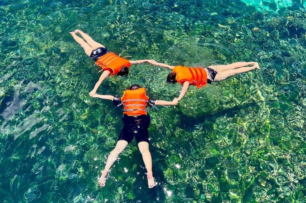 Xôn xao 'ổ rắn độc nhất thế giới' ở đảo Phú Quý khiến du khách hoang mang - ảnh 4
