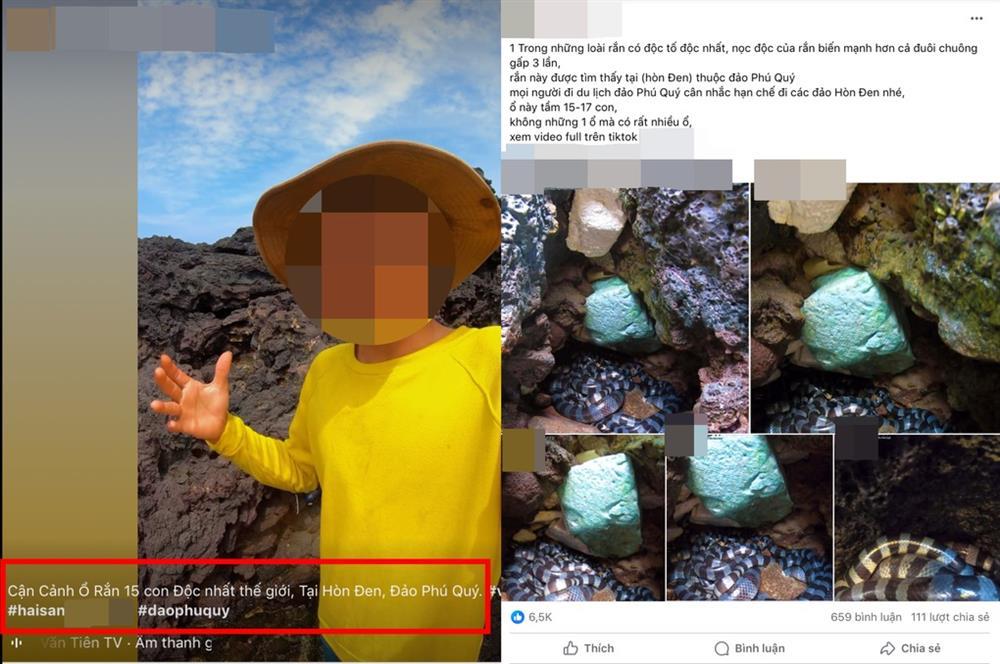 Xôn xao 'ổ rắn độc nhất thế giới' ở đảo Phú Quý khiến du khách hoang mang - ảnh 1