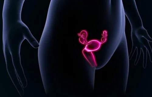 4 loại ung thư thường gặp ở phụ nữ và cách phát hiện sớm - ảnh 3