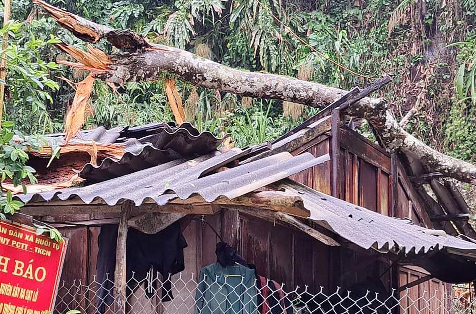 Lốc xoáy làm hàng loạt nhà bị tốc mái, cột điện đổ sập ở Nghệ An - ảnh 1