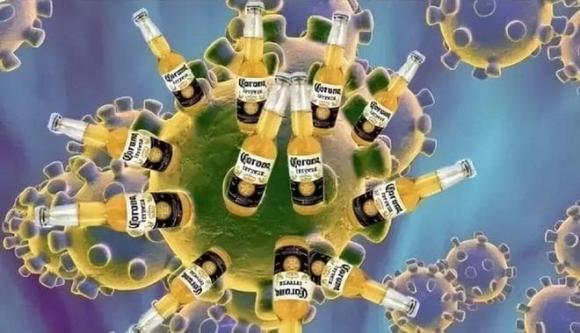 Phát hiện mới: Bia có lợi ích không ngờ! Một chai mỗi ngày thực sự có thể làm tăng sự đa dạng của vi khuẩn đường ruột! - ảnh 3