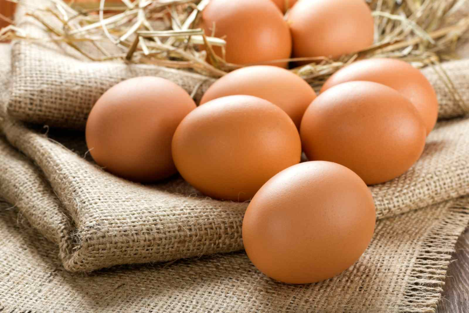 Trứng gà, trứng vịt, trứng ngỗng, trứng cút, loại nào bổ dưỡng hơn? Chuyên gia: Riêng loại trứng này ăn càng ít càng tốt - ảnh 1