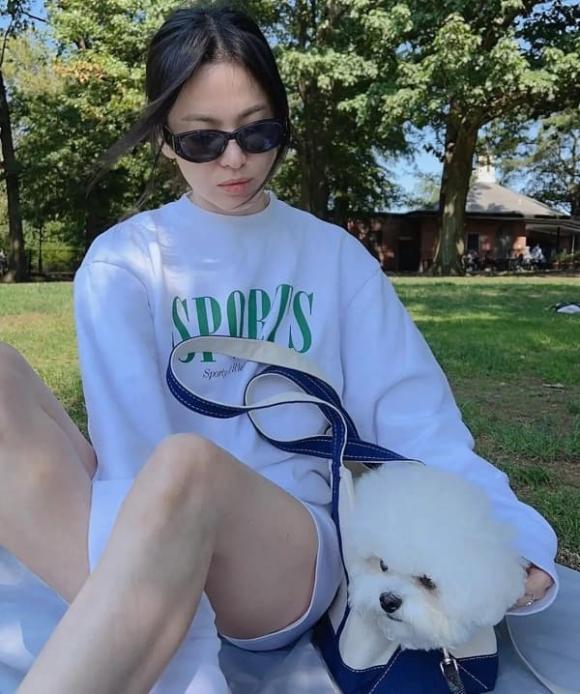 Song Hye Kyo 43 tuổi dắt chó đi dạo và gây sốt với cách mặc mới: Áo nỉ + quần short, vừa thời trang vừa đậm phong cách phương Tây - ảnh 2