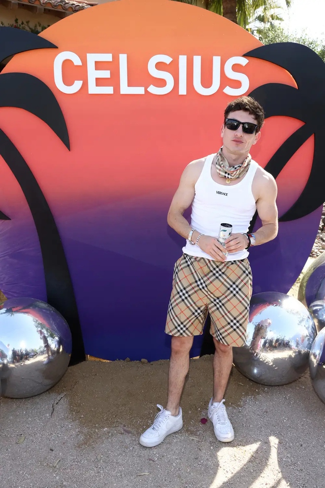 Những trang phục táo bạo nhất của các ngôi sao tại Coachella 2024 - ảnh 12