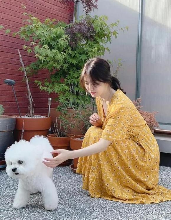 Song Hye Kyo 43 tuổi dắt chó đi dạo và gây sốt với cách mặc mới: Áo nỉ + quần short, vừa thời trang vừa đậm phong cách phương Tây - ảnh 6