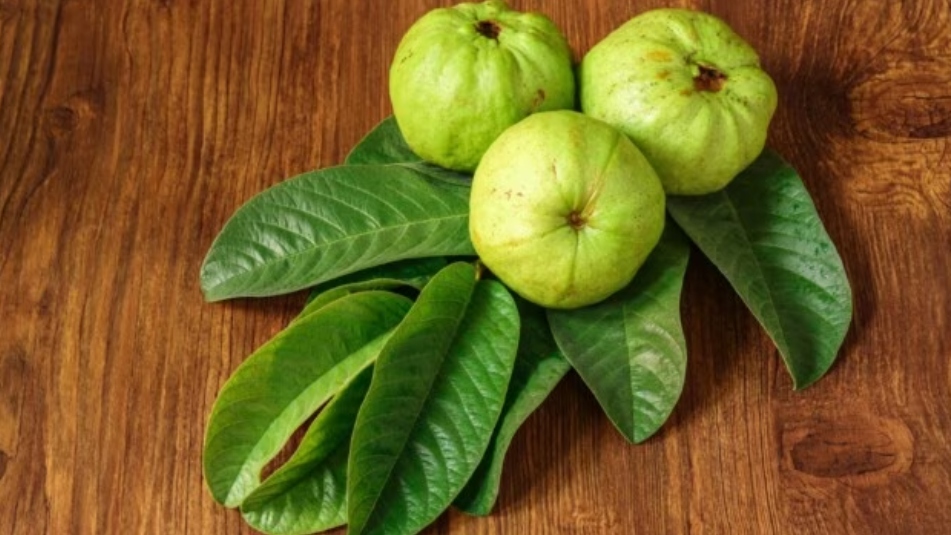 6 lợi ích của loại trái cây thân thiện với bệnh tiểu đường - ảnh 2
