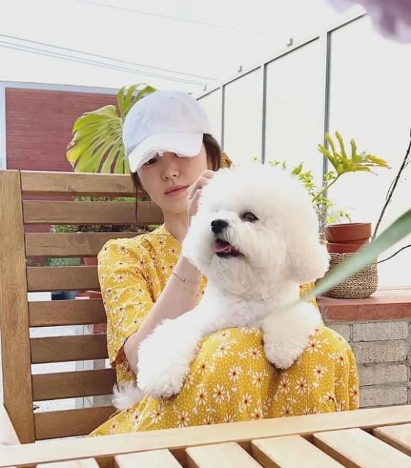 Song Hye Kyo 43 tuổi dắt chó đi dạo và gây sốt với cách mặc mới: Áo nỉ + quần short, vừa thời trang vừa đậm phong cách phương Tây - ảnh 4