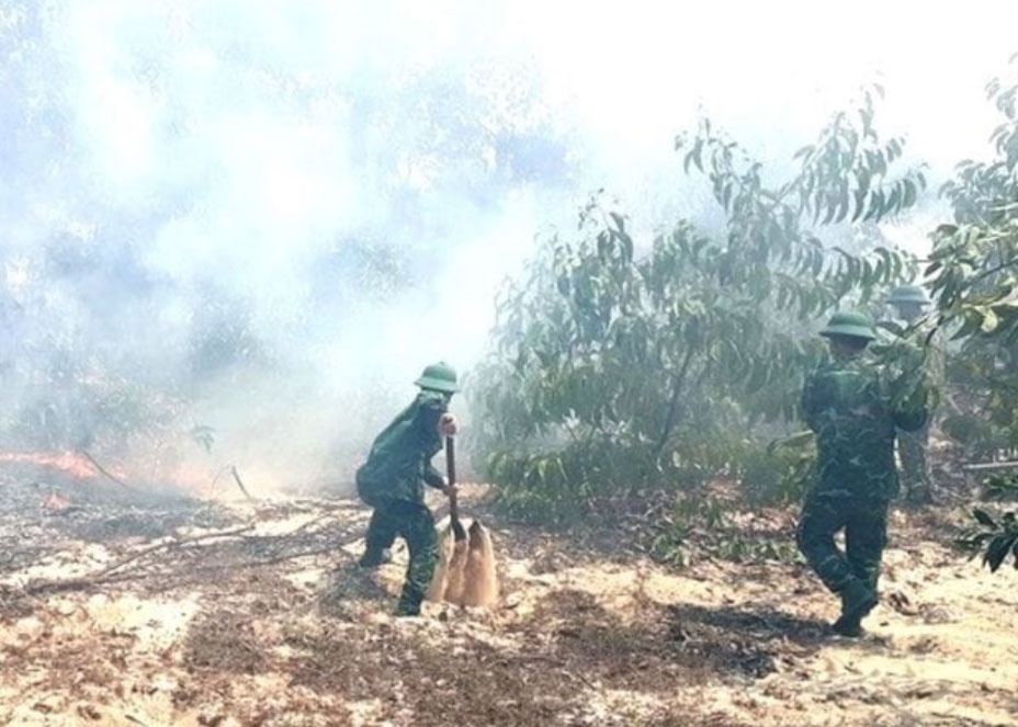 Cháy rừng Phong Điền, Thừa Thiên Huế huy động nhiều lực lượng dập lửa - ảnh 1