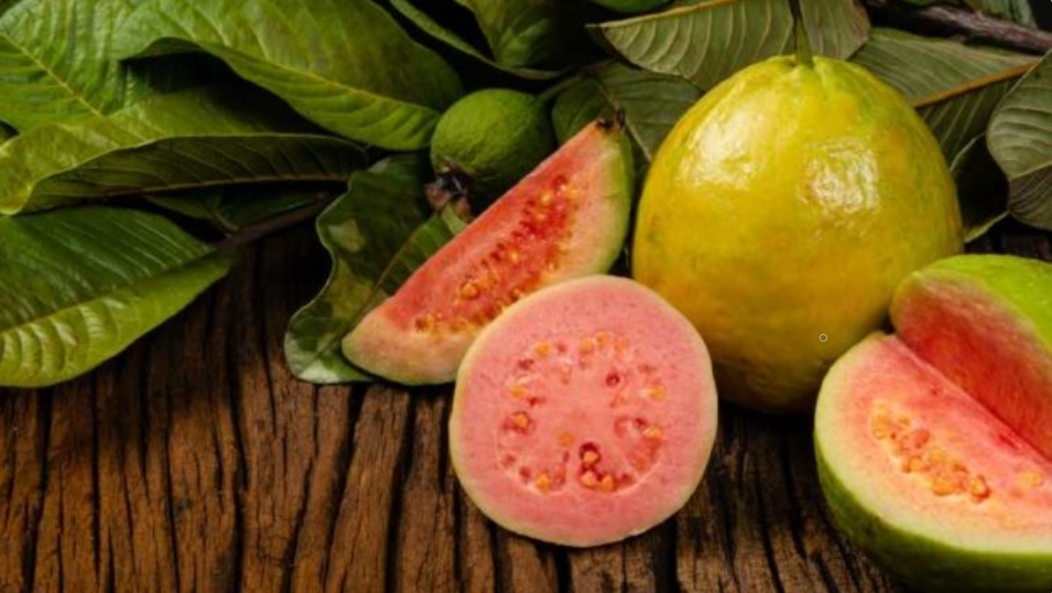 6 lợi ích của loại trái cây thân thiện với bệnh tiểu đường - ảnh 1