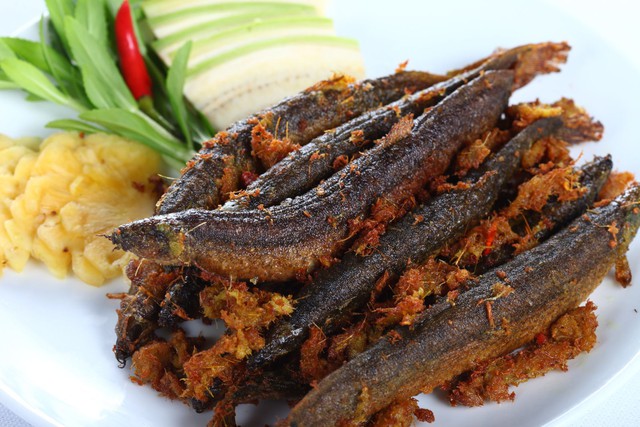 Việt Nam có 2 loại “cá trường thọ” tốt ngang nhân sâm, tổ yến: Ăn vào giúp bổ máu, dưỡng thận, hạ đường huyết hiệu quả - ảnh 1