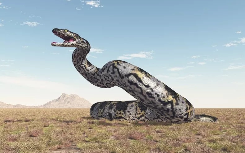 Phát hiện ‘quái vật’ rắn lớn nhất từng sống trên Trái Đất - ảnh 2