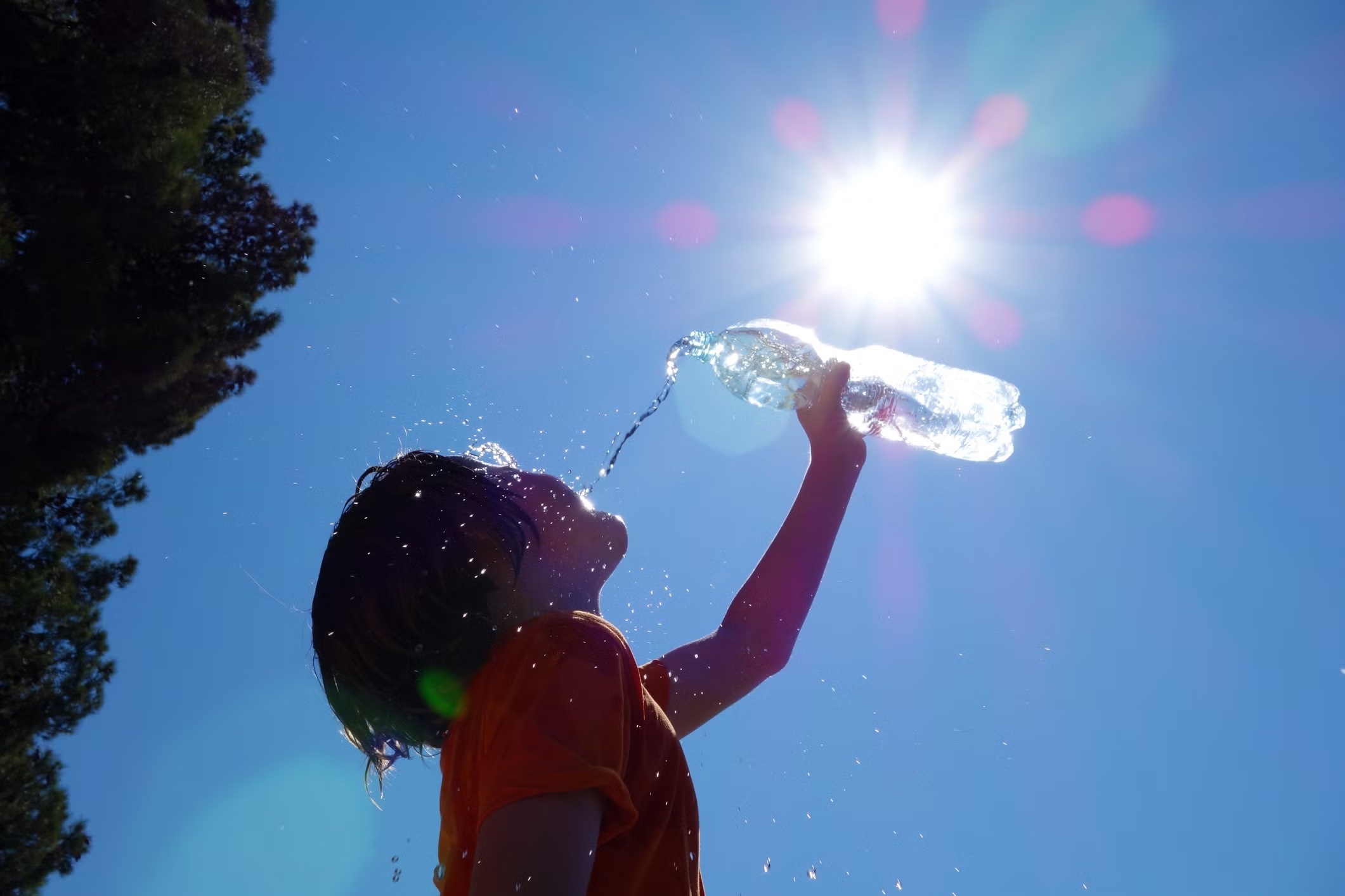 Cách uống nước hại sức khỏe ngày nắng ai cũng mắc - ảnh 5