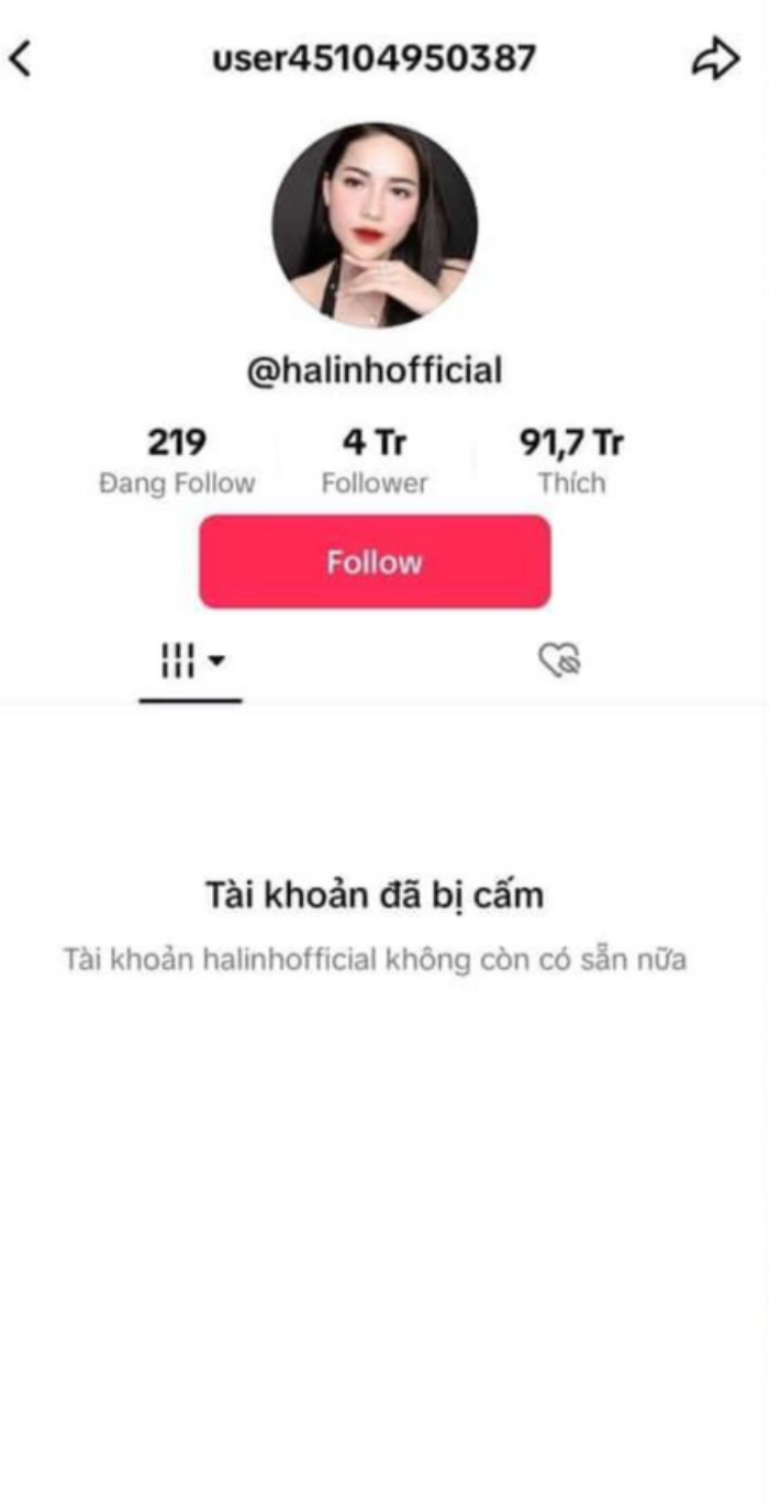 Chiến thần Võ Hà Linh chính thức ''bay màu'' kênh Tiktok 4 triệu followers - ảnh 1