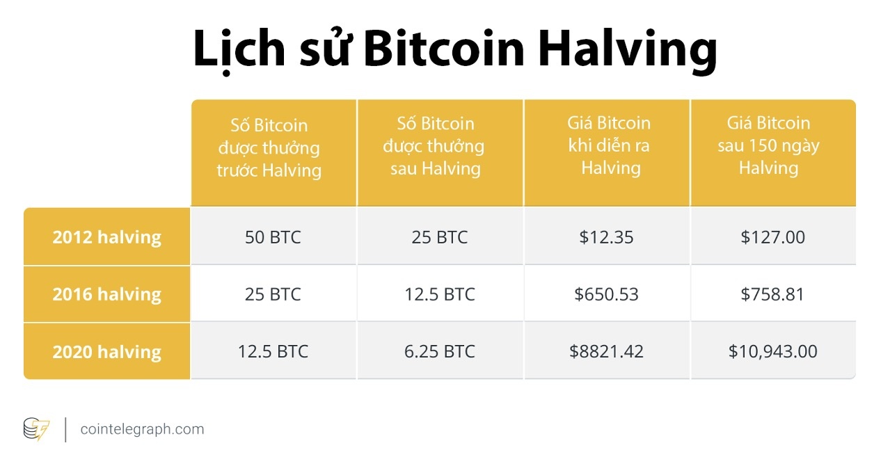 Vì sao giá Bitcoin bất động sau sự kiện ''chia hai'' lịch sử - ảnh 2
