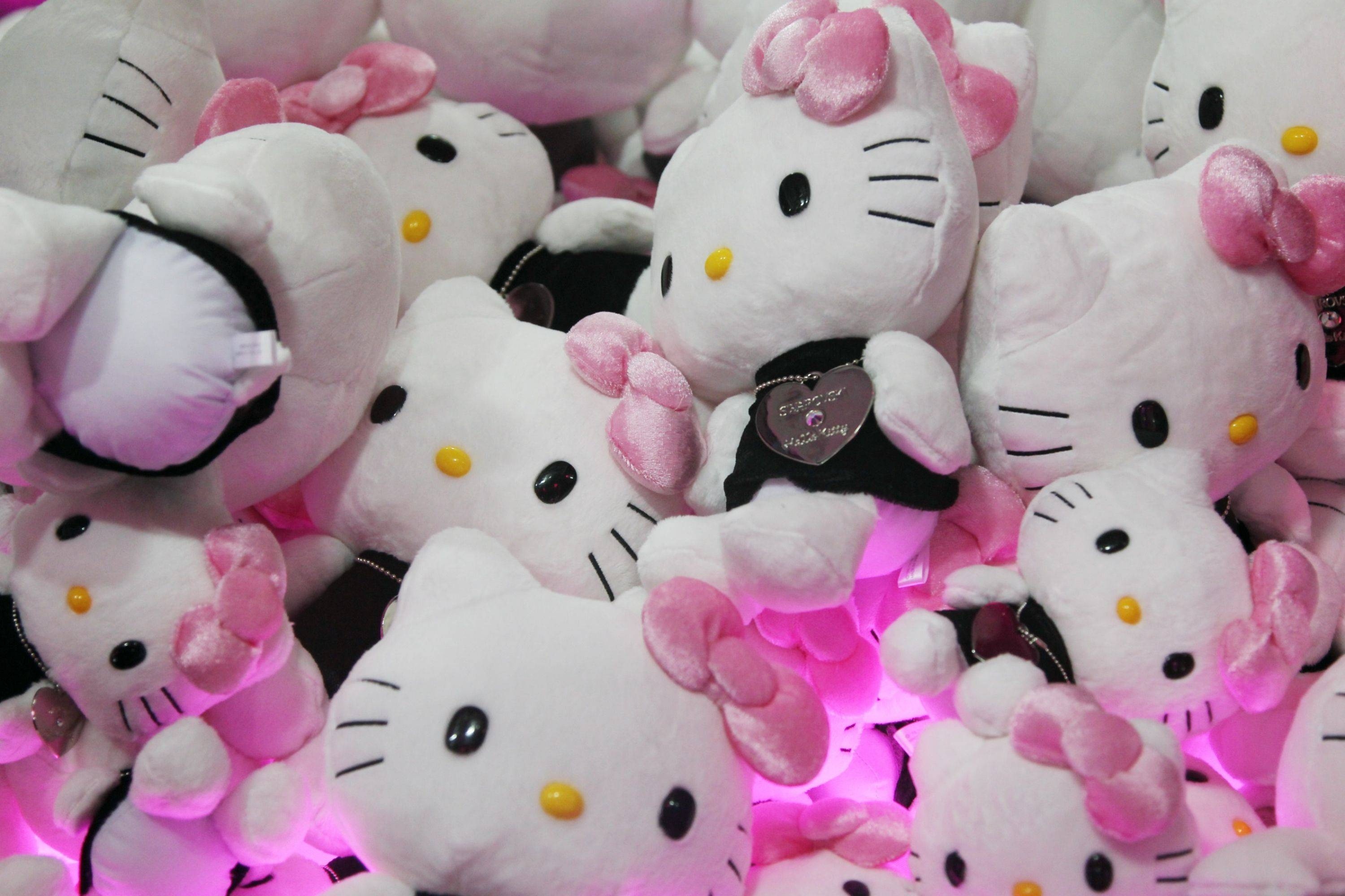 Tiệc sinh nhật 50 tuổi của ''mèo không miệng'' Hello Kitty - ảnh 1