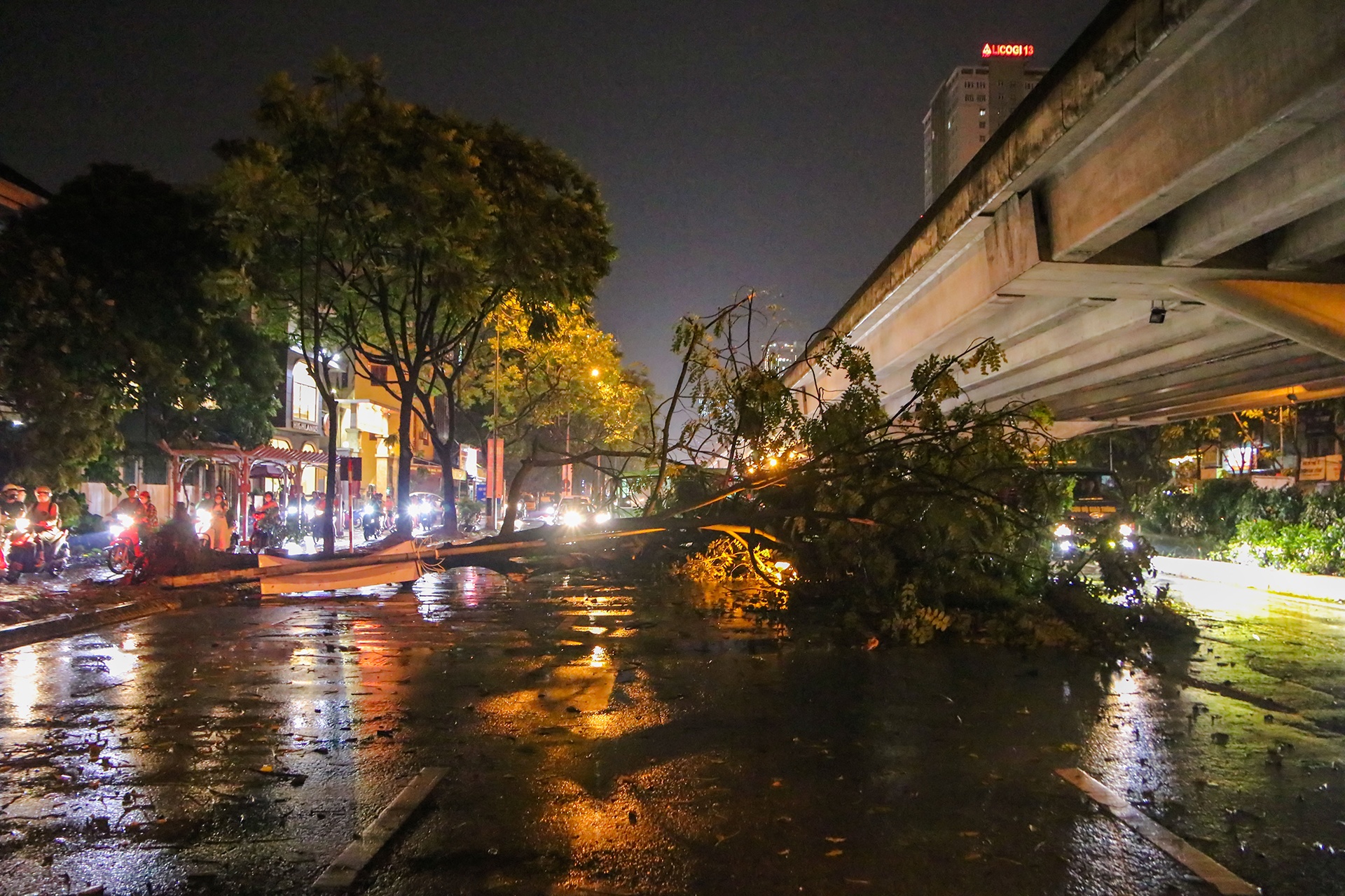 Cây đổ đè lên xe sang sau cơn mưa dông lớn ở Hà Nội - ảnh 8