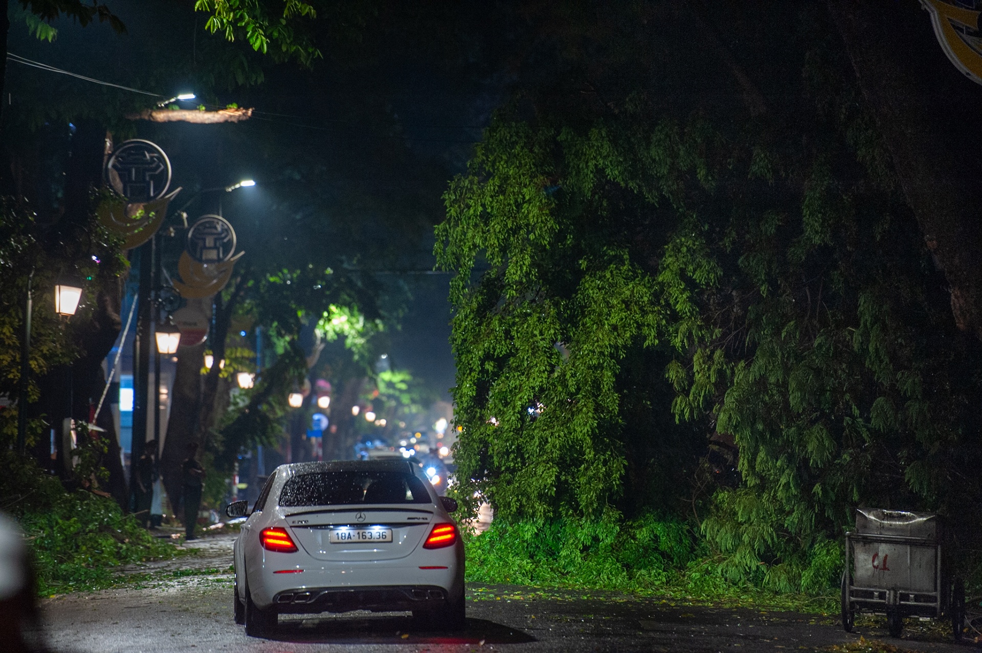 Cây đổ đè lên xe sang sau cơn mưa dông lớn ở Hà Nội - ảnh 1