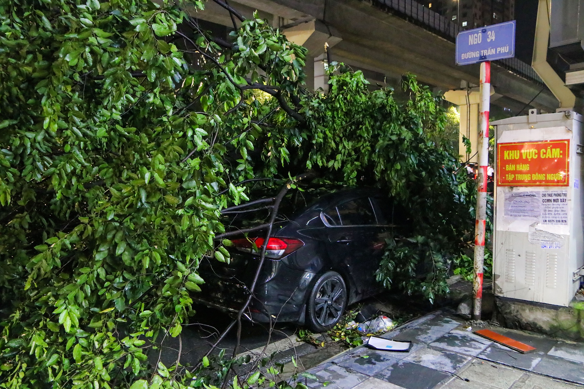 Cây đổ đè lên xe sang sau cơn mưa dông lớn ở Hà Nội - ảnh 9