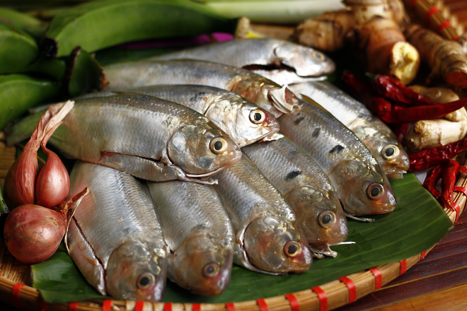 Việt Nam có 4 loại cá giàu omega 3 bậc nhất, giúp kiểm soát đường huyết, bổ tim chắc xương - ảnh 1