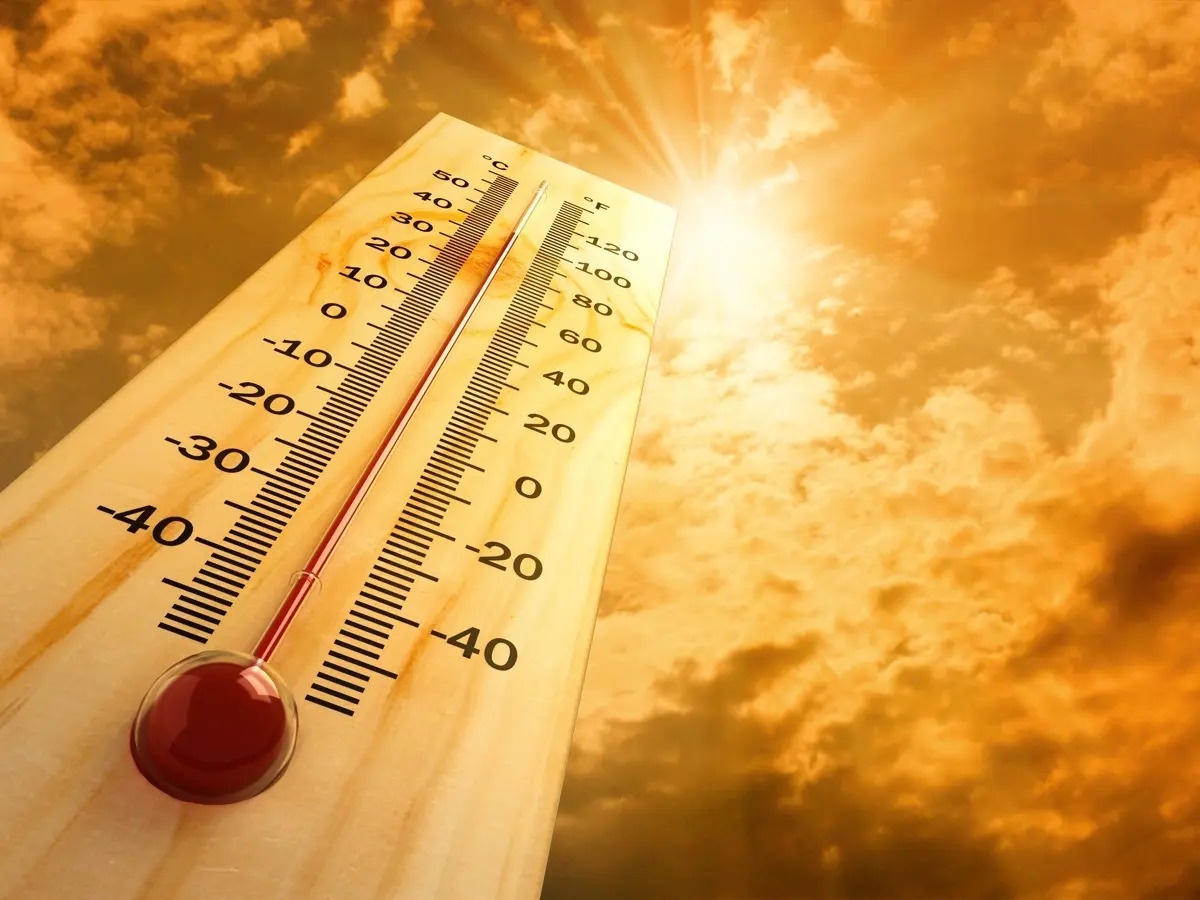 Nắng nóng khắc nghiệt đang vượt giới hạn chịu đựng của con người - ảnh 1