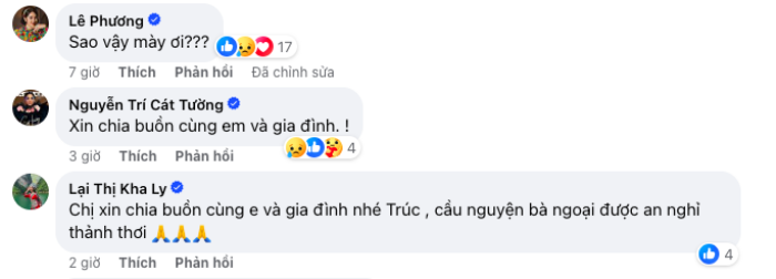 Diễn viên Thanh Trúc thông báo tang sự, dàn sao Việt gửi lời chia buồn - ảnh 5
