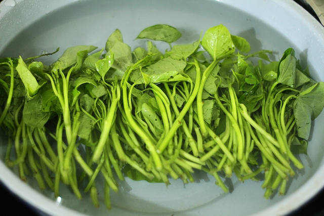 2 loại rau quý được người Nhật ví như ''''thuốc trường thọ'''' và ''''lá hồi sinh'''': Ở Việt Nam trồng đầy vườn, ăn không lo hết - ảnh 3